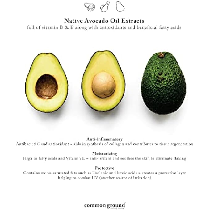 COMMON GROUND ALL NATURAL HAND WASH SOAP - PARABEN & CRUELTY FREE - DAILY - ORGANIC, VEGAN, PLANT-BASED, AVOCADO OIL - FOR ALL, MEN, WOMEN, ECZEMA, SENSITIVE SKIN 8.4 FL OZ (3 PACK) - Image 3